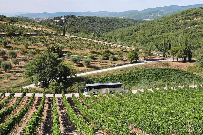 Chianti Wine Tour: Two Wine Tastings, Vineyards and Cellar Visit - Via Chiantigiana and the classic Chianti setting