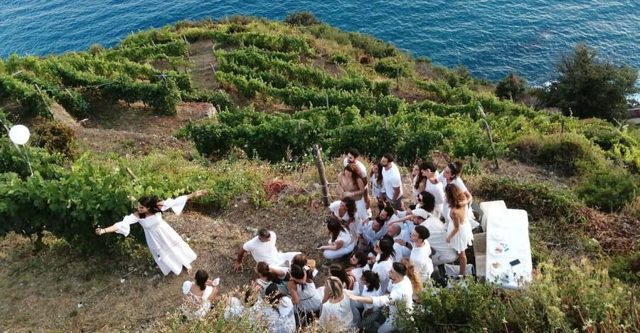 Cinque Terre: tasting in the cellar with visit to vineyards - The three wines on the tasting table