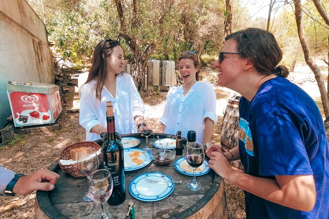 Coastal Vineyards: A Dream Wine Tour to Elaphiti Islands - Key points to know before you book
