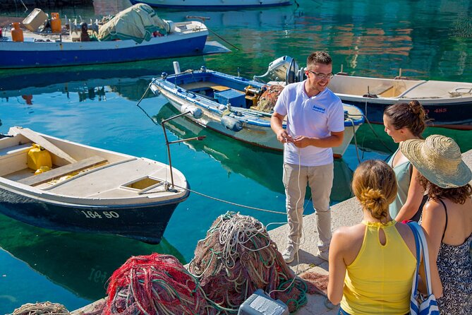 Coastal Vineyards: A Dream Wine Tour to Elaphiti Islands - Who should book this island experience?