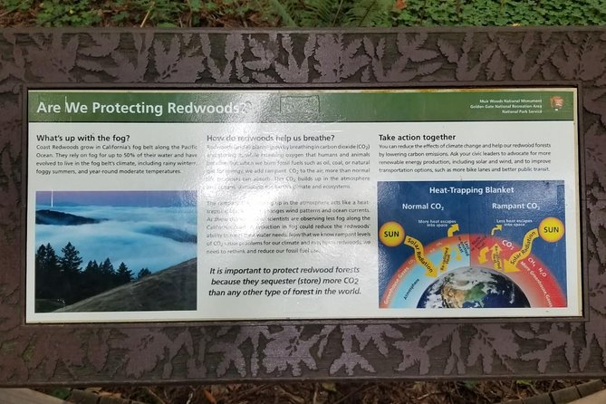 Combo Tour: Muir Woods, Sausalito and Sonoma Wine Country Tour - Leaving San Francisco through the Presidio