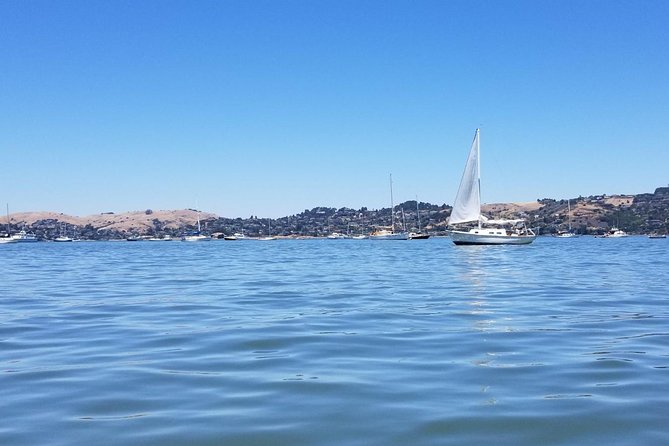 Combo Tour: Muir Woods, Sausalito and Sonoma Wine Country Tour - The road to Sonoma Valley