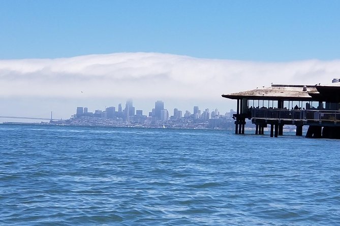 Combo Tour: Muir Woods, Sausalito and Sonoma Wine Country Tour - Sonoma Plaza and the final hour of freedom