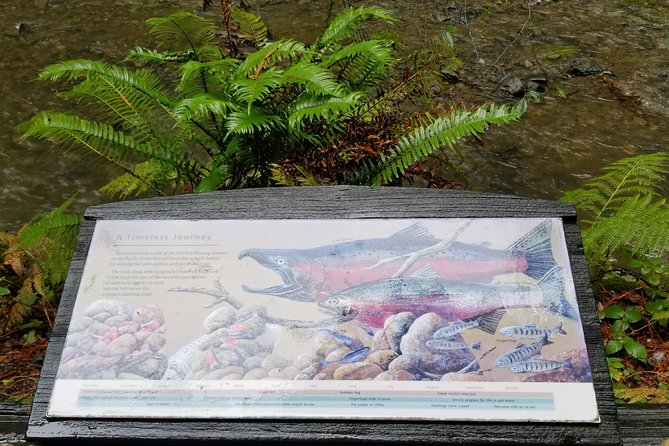 Combo Tour: Muir Woods, Sausalito and Sonoma Wine Country Tour - Crossing the Golden Gate Bridge