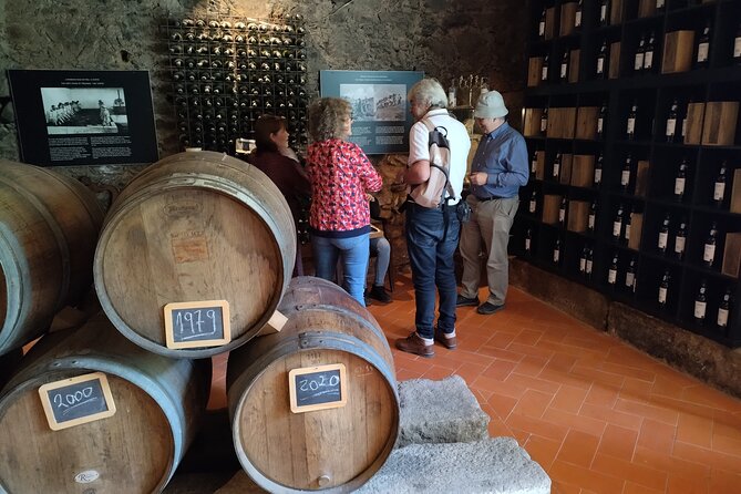 Complete Private Douro Valley Wine Tour - From Porto to the Douro: Why the Long Drive Matters