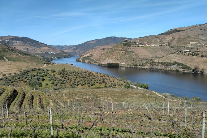Complete Private Douro Valley Wine Tour - What the $201.76 Price Includes
