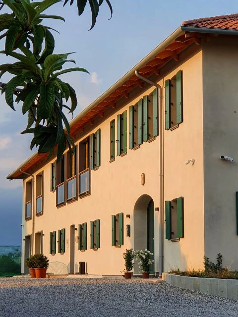 Conegliano: Prosecco Hills and Vineyards tour - Key points to know before you book