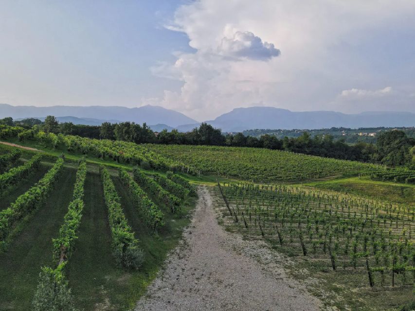 Conegliano: Prosecco Hills and Vineyards tour - Why this Prosecco tasting is different