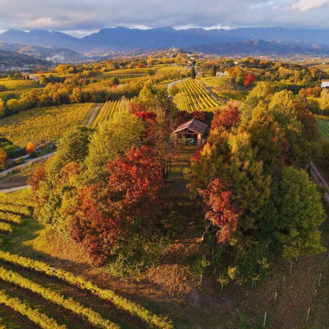 Conegliano: Prosecco Hills and Vineyards tour - Local food makes the tasting more useful
