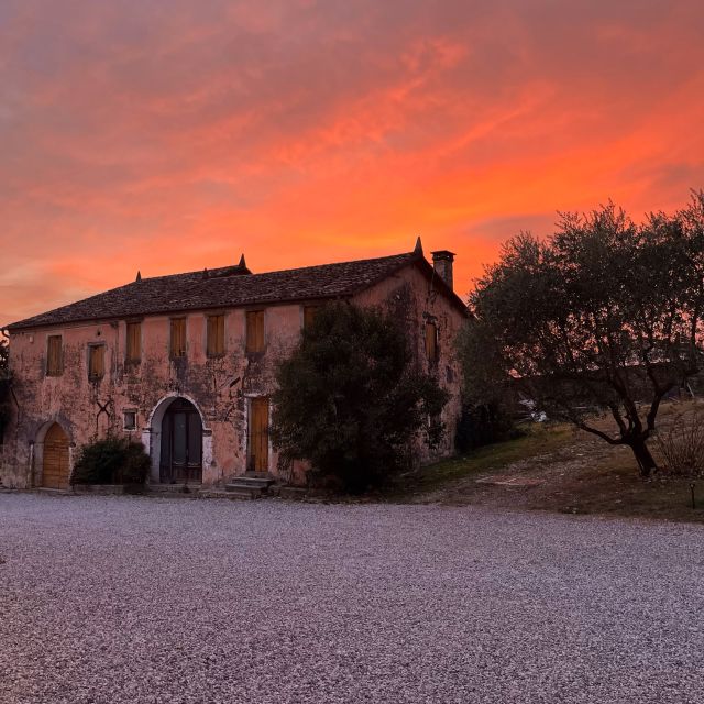 Conegliano: Prosecco Hills and Vineyards tour - What the 1.5-hour schedule means