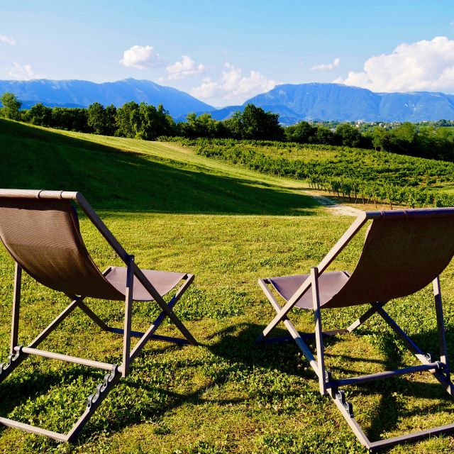 Conegliano: Prosecco Hills and Vineyards tour - The cellar question