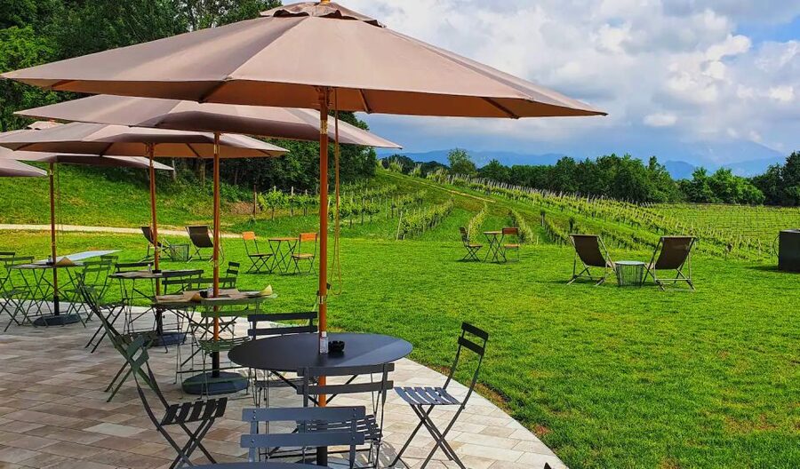 Conegliano: Prosecco Hills and Vineyards tour - The guide can shape the whole visit