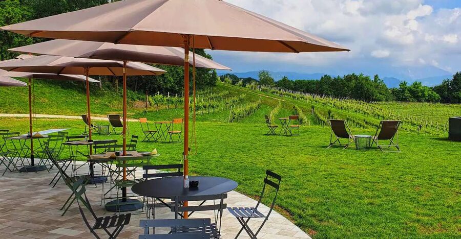 Conegliano: Prosecco Hills and Vineyards tour - Starting at the estate wine bar