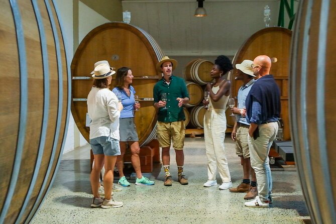 Constantia Wine Walk Storytelling Vineyard Tour with Lunch - The private trail to Klein Constantia