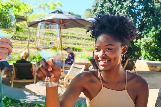 Constantia Wine Walk Storytelling Vineyard Tour with Lunch - Fitness, weather, and useful planning advice