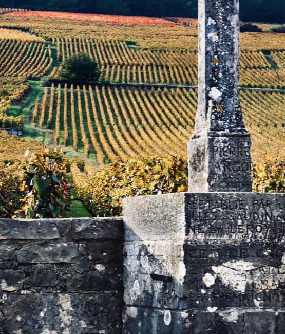 Côte de Nuits: Excursion in the heart of the vineyards - Key points to know before booking