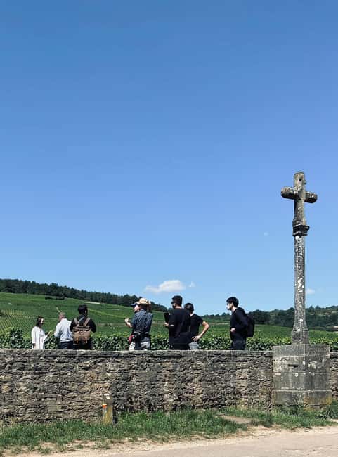 Côte de Nuits: Excursion in the heart of the vineyards - Why this short Burgundy tour works