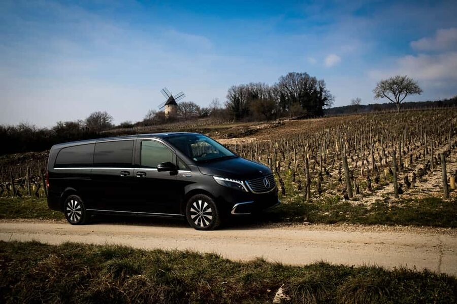 Côte de Nuits: Excursion in the heart of the vineyards - Walking through the famous vineyard names