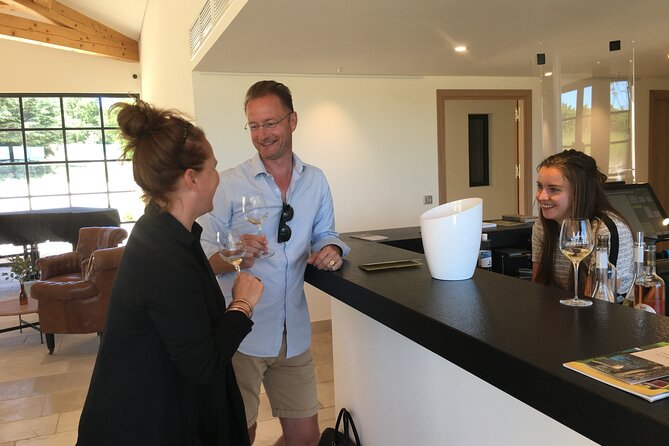Côtes de Provence Small Group Day Trip with Winery Visits & Tastings from Nice - Who should book this wine day trip?
