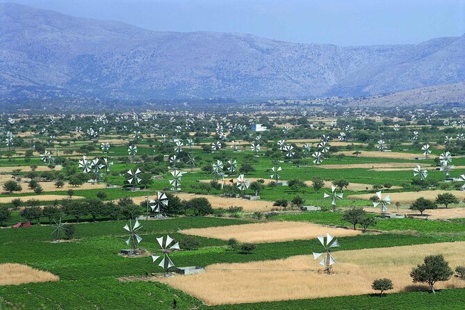 Crete in a Day: Knossos, Soap Workshops, Olive Oil & Wine Tasting - Pickup, timing, and what to confirm