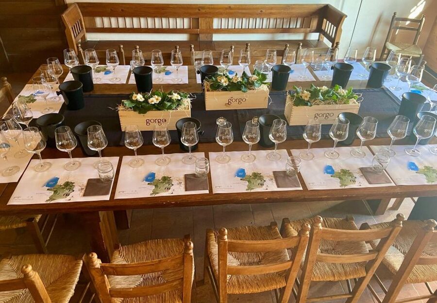 Custoza: Organic Wine Tasting with Vineyard and Cellar Tour - Why Custoza Makes a Good Wine Stop