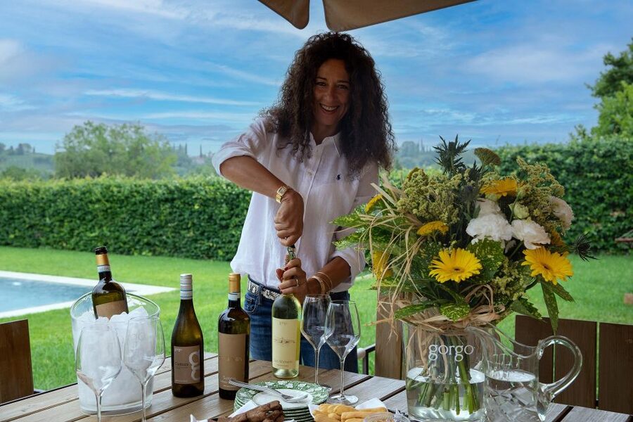 Custoza: Organic Wine Tasting with Vineyard and Cellar Tour - From Restored Spaces to Modern Design