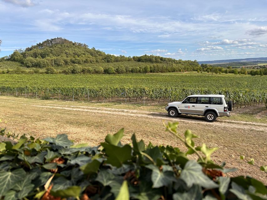 Czech Vineyards and Wine Tasting 4WD Tour with Lunch - What the seven-hour schedule feels like
