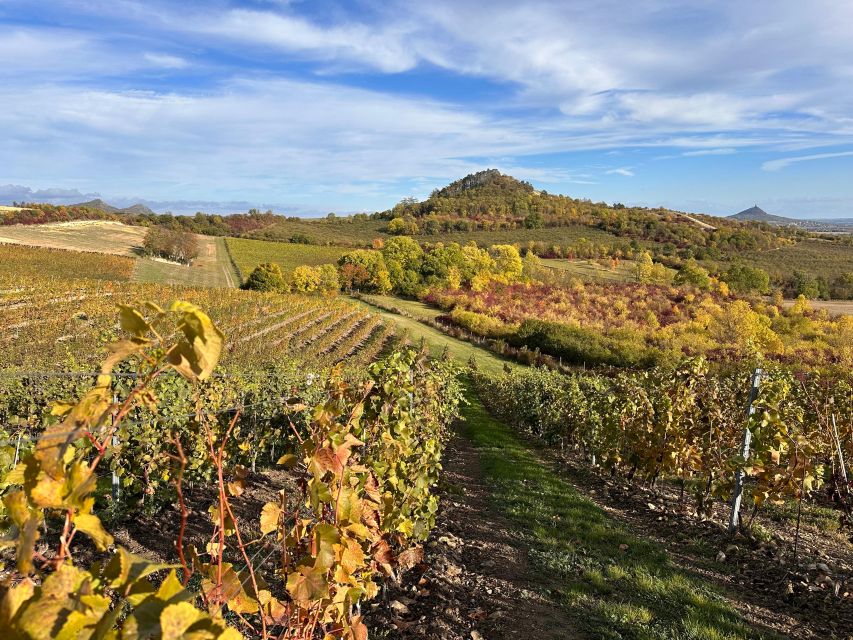 Czech Vineyards and Wine Tasting 4WD Tour with Lunch - Who will enjoy this tour most