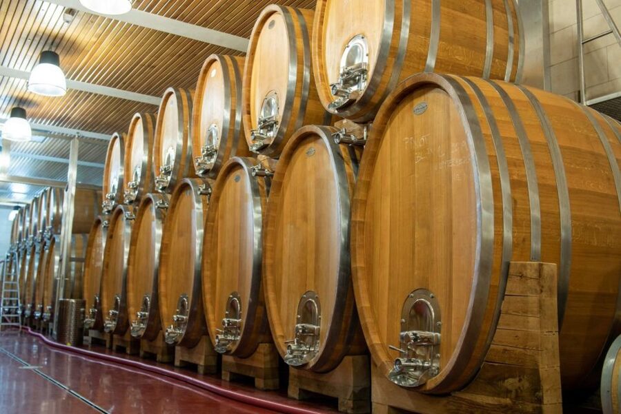 Czech Vineyards and Wine Tasting 4WD Tour with Lunch - FAQ