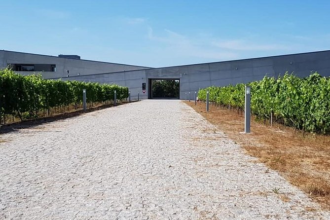 Dão Wine Region: Portuguese version on Bordeaux - Key points to know before booking