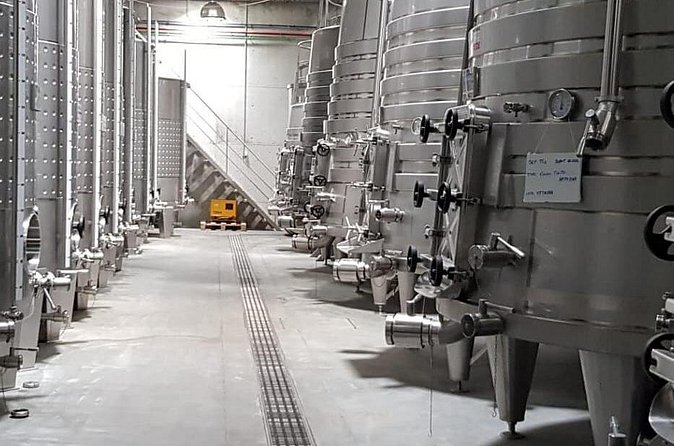 Dão Wine Region: Portuguese version on Bordeaux - Comparing two cellars instead of one