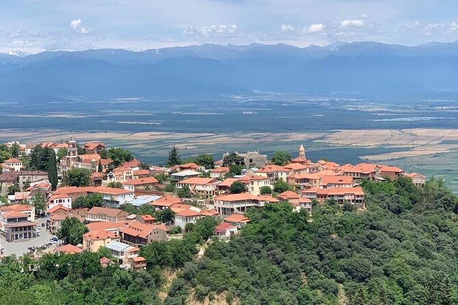 Day tour to Kakheti wine region Georgia - Pirosmani’s village museum and Georgian art