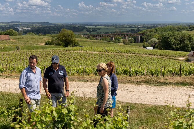 Day Trip to the Sancerre and Pouilly Vineyards - Why this Loire Valley wine tour works