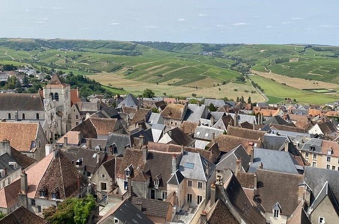 Day Trip to the Sancerre and Pouilly Vineyards - Timing, transport, and the Paris connection
