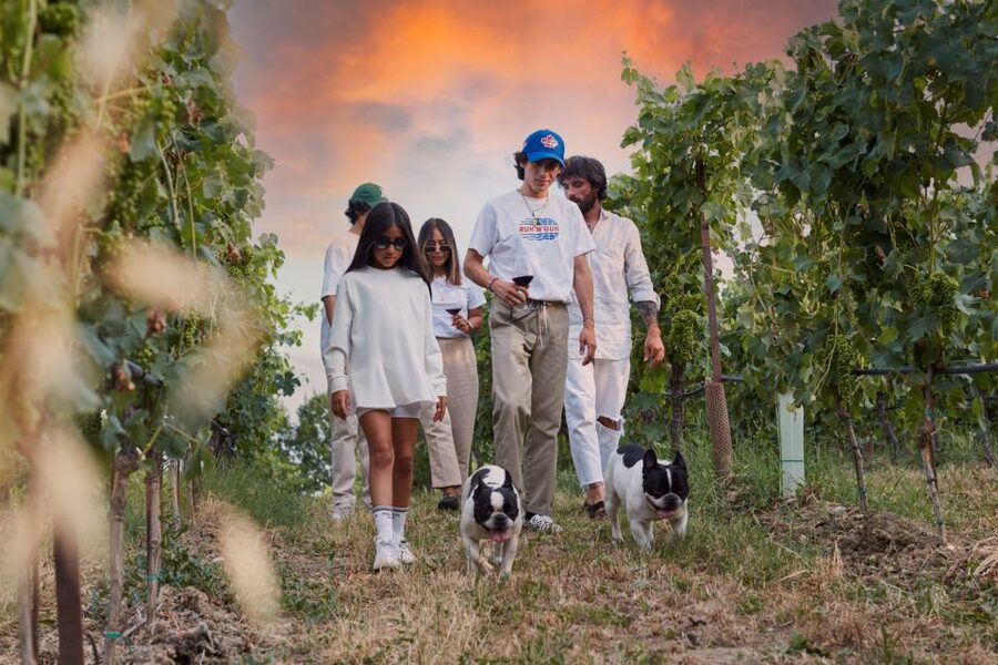 Desenzano: Lugana Wine-Tasting and Vineyard Tour - Inside the sparkling and barrel cellars