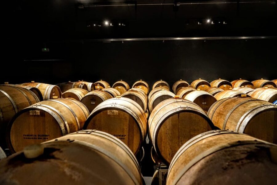 Desenzano: Lugana Wine-Tasting and Vineyard Tour - Is $59 a fair price?