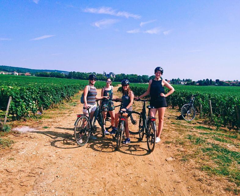 Dijon: Bike tour and Tastings in the Vineyards of Burgundy - Key points to know before you book