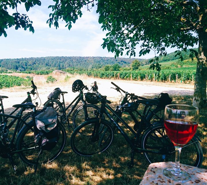 Dijon: Bike tour and Tastings in the Vineyards of Burgundy - Starting in Chenôve beside the Clos du Roy