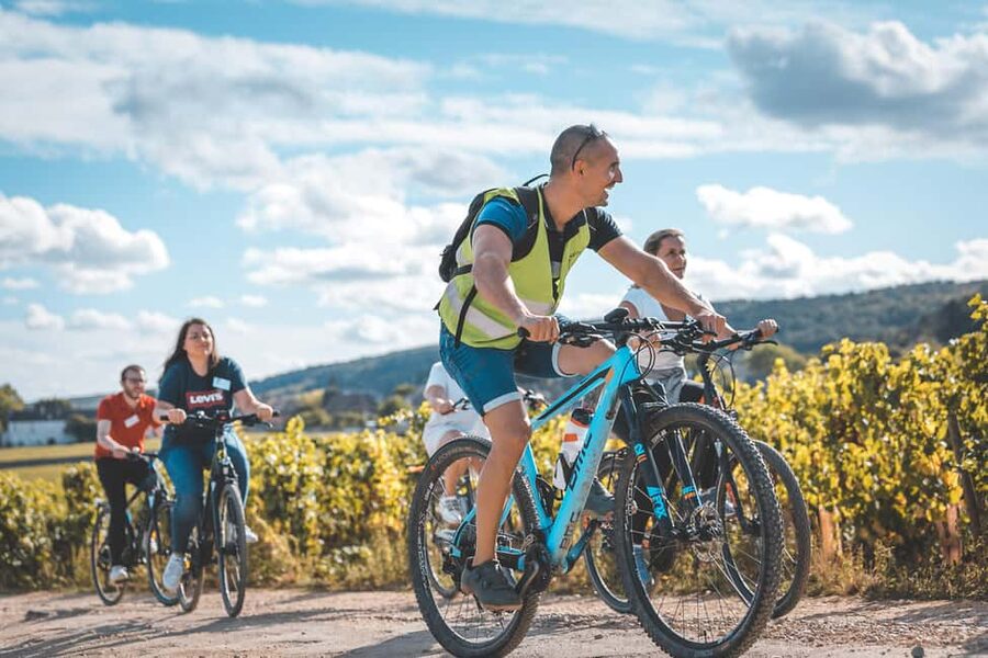Dijon: Bike tour and Tastings in the Vineyards of Burgundy - Riding the Côte de Nuits by bicycle