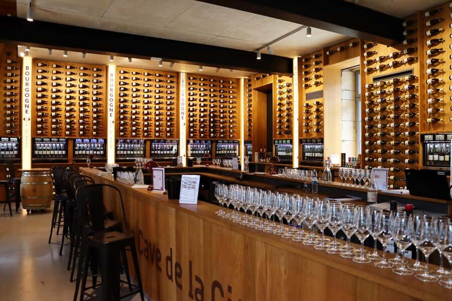 Dijon: Walking tour of the metropolitan vineyards - Key points to know before you go