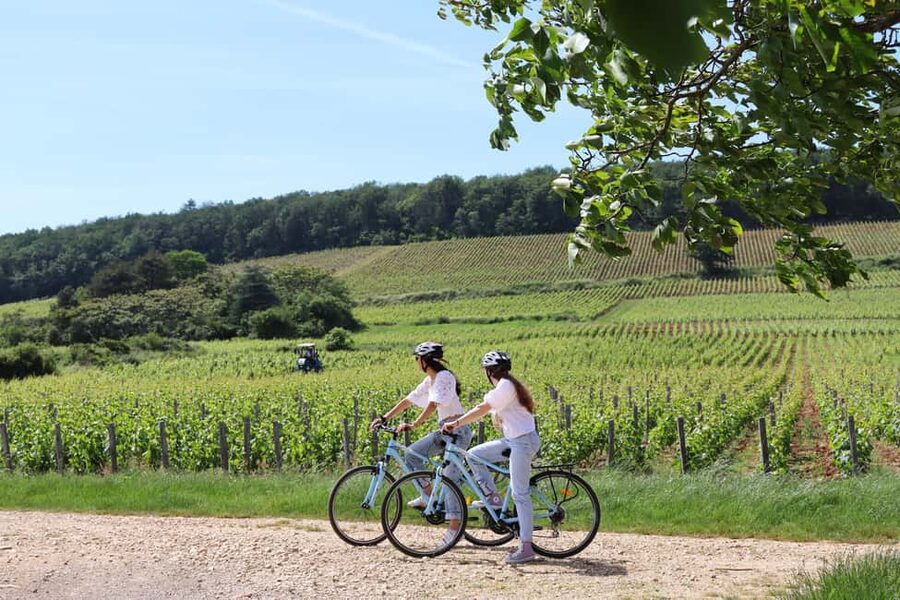 Dijon: Walking tour of the metropolitan vineyards - Views, photographs, and a slower pace