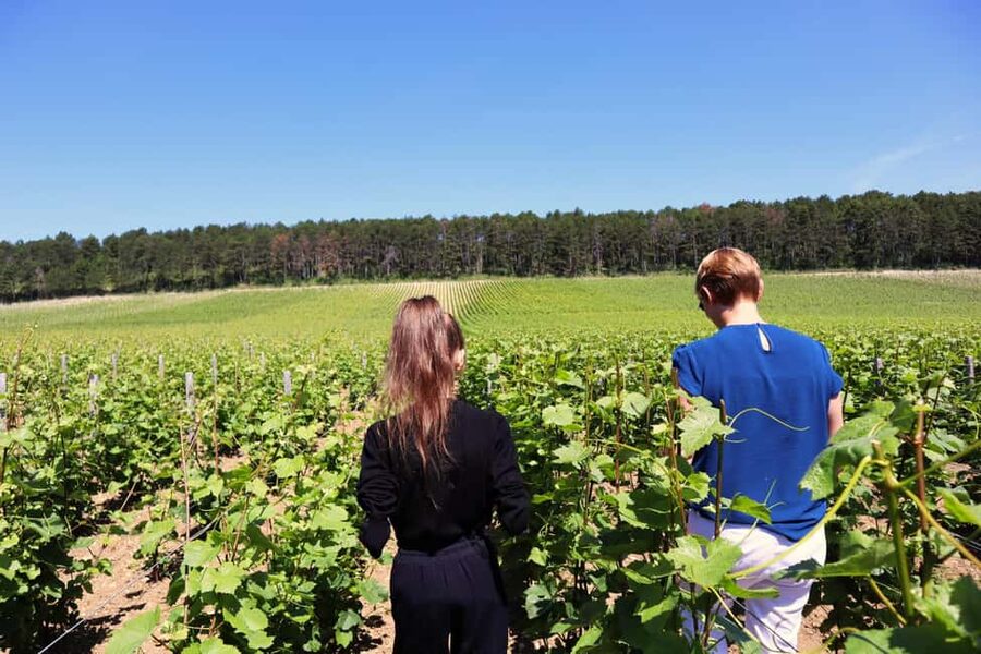 Dijon: Walking tour of the metropolitan vineyards - The 15-minute ride into Dijon’s vineyards