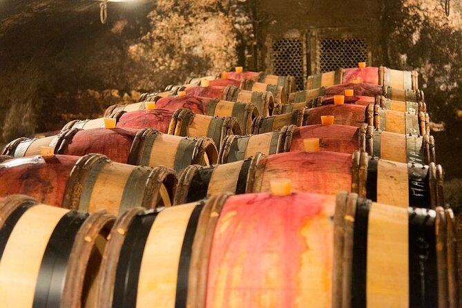 Dijon Wine Tour Côte de Nuits and Côte de Beaune Vineyards - What the guide adds to the day