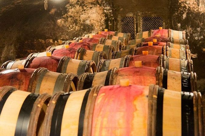 Dijon Wine Tour Côte de Nuits and Côte de Beaune Vineyards - Is $258.30 a fair price?