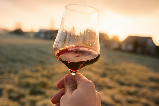 Dijon Wine Tour Côte de Nuits and Côte de Beaune Vineyards - Who will enjoy this tour most?