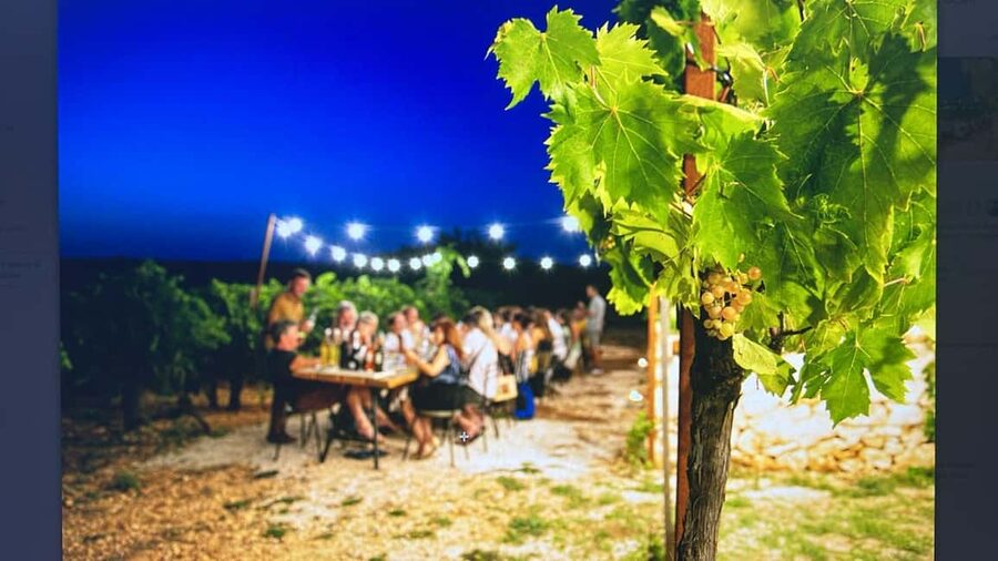 Dinner in the vineyard and wine tasting under the stars - Five things to know before booking