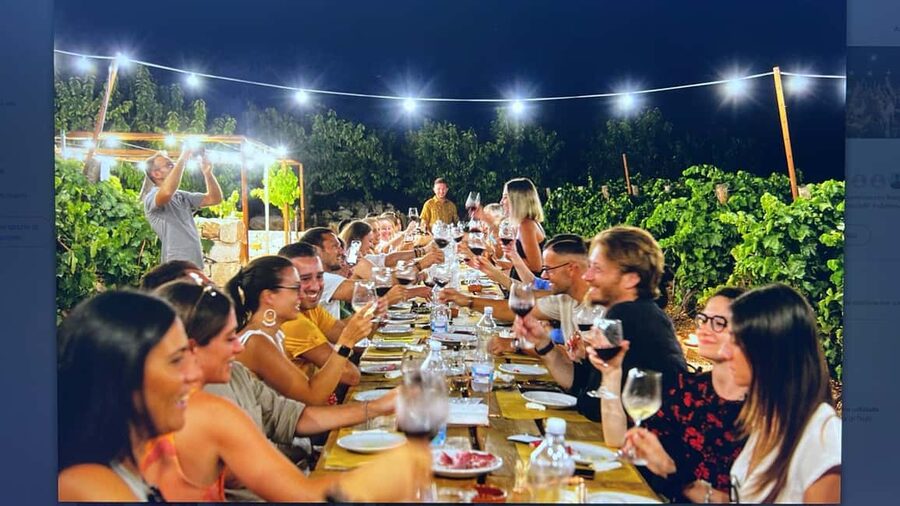Dinner in the vineyard and wine tasting under the stars - The five-course Apulian appetizer