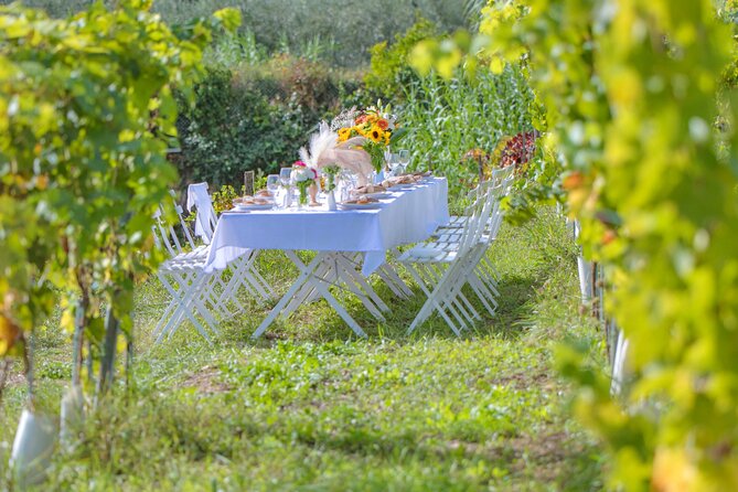 Dinner in the Vineyard French Riviera - Walking through the vines, when weather allows