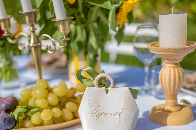 Dinner in the vineyard French Riviera - Arriving at a changing vineyard location