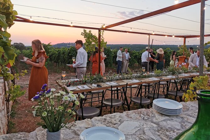 Dinner in the vineyard with wine tasting and walk - Key points to know before booking